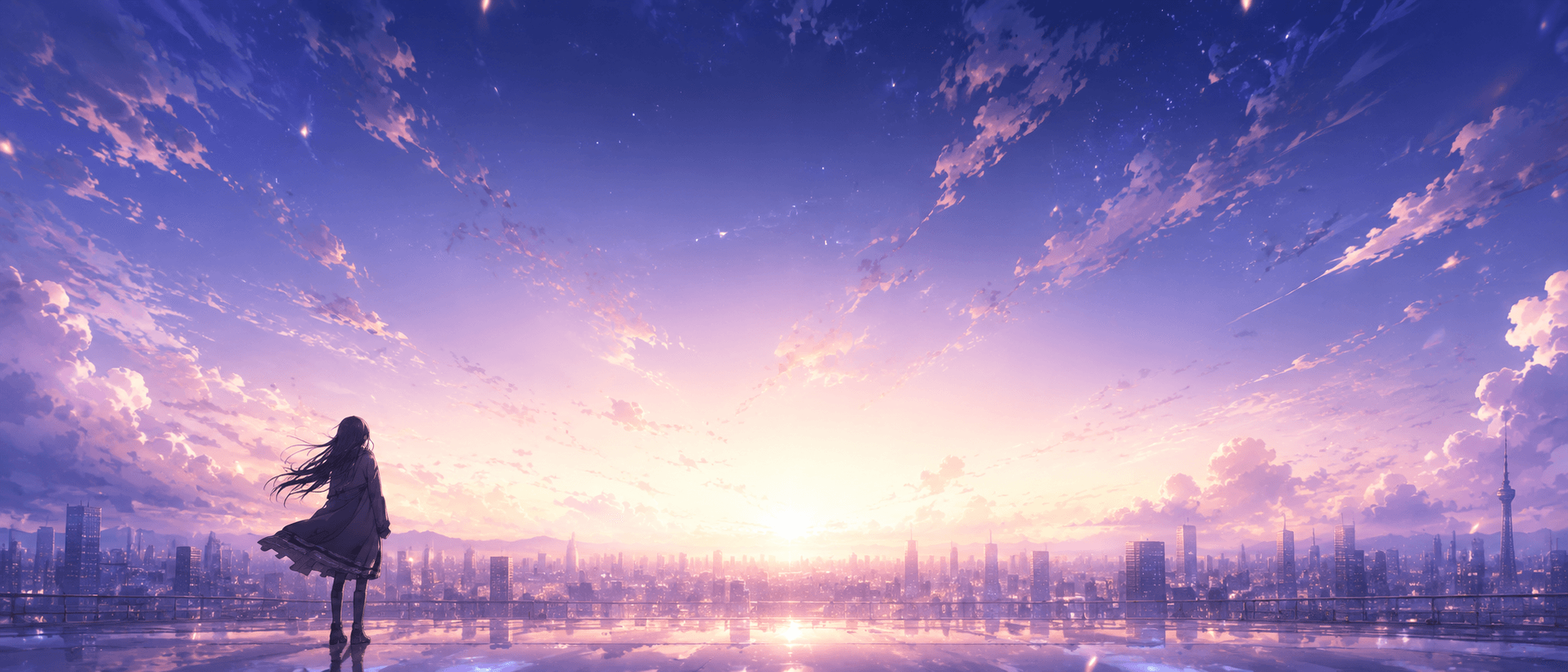 ANIMIZE bottom banner